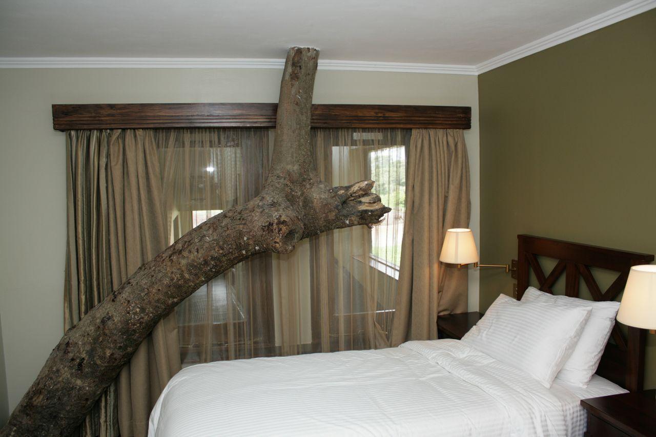 Treetops Mweiga Quarto foto